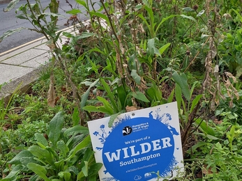 Close up of flower bed with Wilder Plaque 