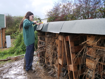 Young person attaching felt roof on to the bug hotel using a hammer