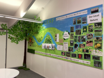 Leaf display @Knightwood Primary School