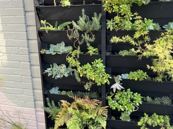 a living wall full of green plants
