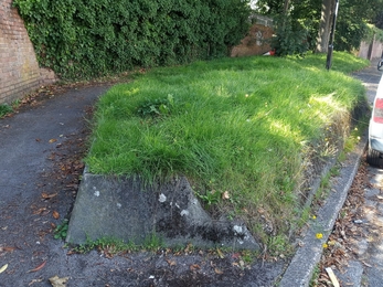 Photo of a grass verge in an urban area