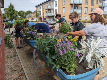 a group of volunteers tending to flowers in plants along an urban street