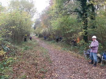 Volunteers working along a woodland path