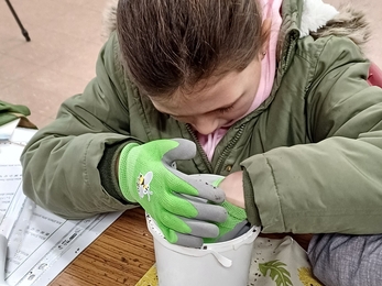 A person making seed balls in a small white bucket