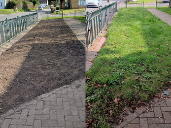 a side by side photo showing the before and after results of seeding on a small patch of garden.