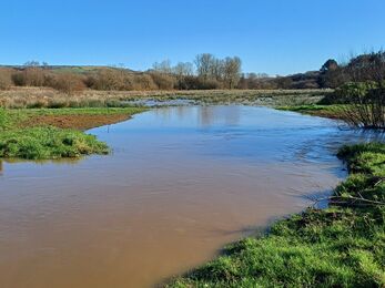 A floodplain surrounded by open field on a sunny day