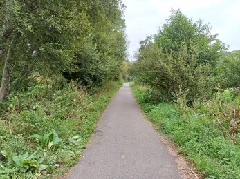 View of a cycle track at Lower Knighton Moor