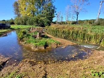 Eastern Yar River Restoration Project 
