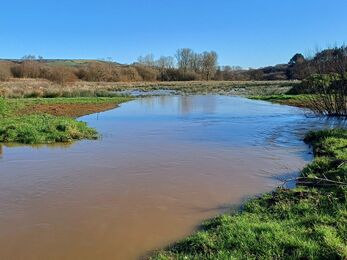 swale allowing water to spread at Newchurch Moors Nature Reserve.