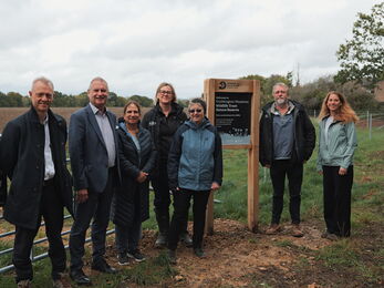 Stubbington Meadows Wildlife Trust Nature Reserve