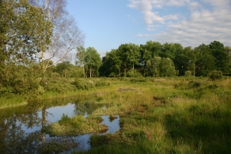 Ancells Farm Nature Reserve © Kevin Fackrell