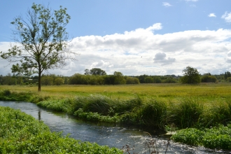 Winnall Moors Nature Reserve © Deryn Hawkins