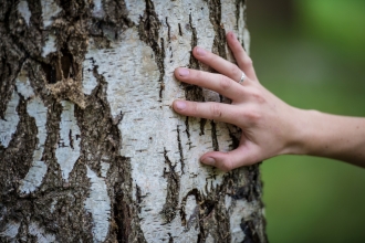 Touching a tree © Matthew Roberts