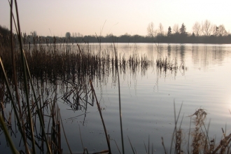 Ellingham lake, Blashford Lakes by Jim Day