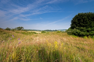 Noar Hill by Ian Cameron Reid