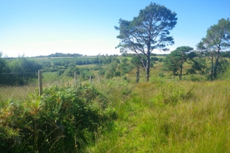 Shirley Farm Bransgore SSSI after our advice work