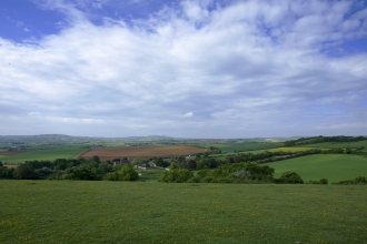 Arreton Down