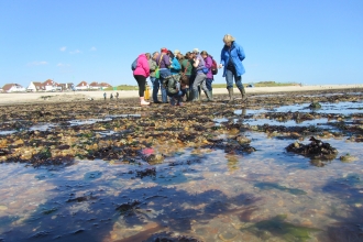 Shoresearch at Lee-on-Solent beach