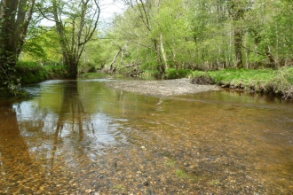 Roydon Woods, Stile Pool