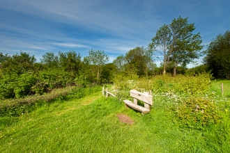 Noar Hill in summer