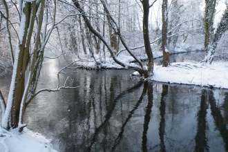 Winnall Moors in winter