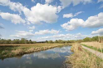 Barton Carrier at Winnall Moors