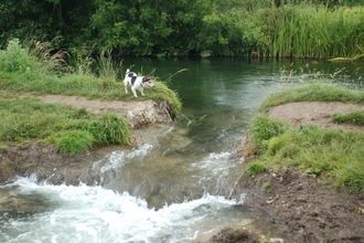 Flooded path at Hockley on the River Itchen