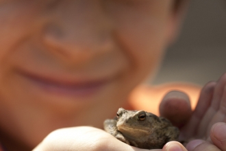 Child holding a frog © Amy Lewis