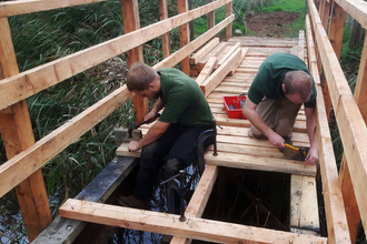 Woodland apprentices building a bridge