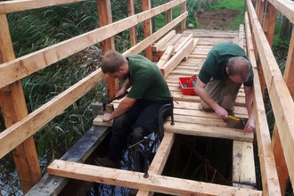 Woodland apprentices building a bridge