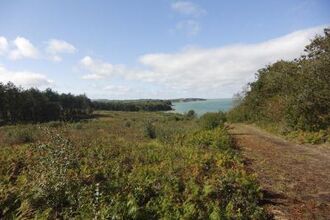 Bouldnor Forest nature reserve