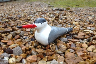 Decoy tern model