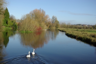 River Itchen