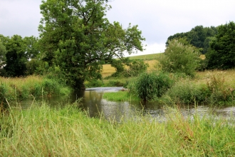 St Clair's Meadow nature reserve