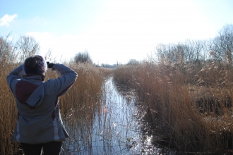 Visitor at Fishlake Meadows nature reserve