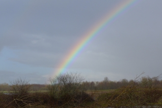 Rainbow at Blashford Lakes nature reserve