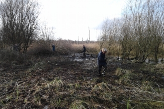 Fishlake Meadows volunteers moving willow scrub