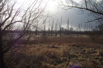 Fishlake Meadows view Apr 2018