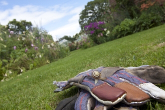 Wildlife gardening © Tom Marshall