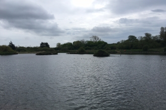 Budds Farm lake near Southmoor