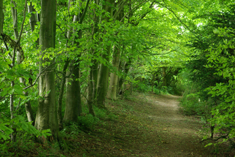 Broughton Down