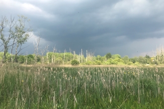 Stormy clouds at Fishlake Meadows nature reserve