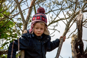 Boy climbing a tree