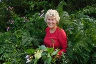 Volunteer pulling Himalayan balsam