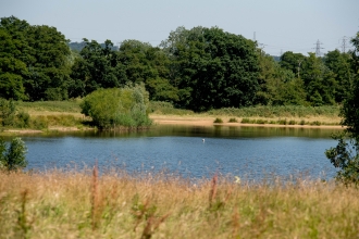 Testwood Lakes nature reserve © Southern Water