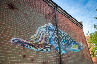 Cuttlefish mural in Portsmouth