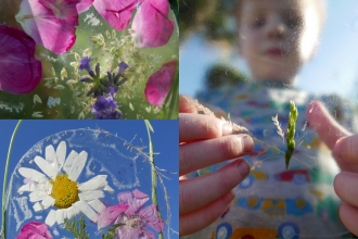 30 Days Wild flower collage © Gemma Paul