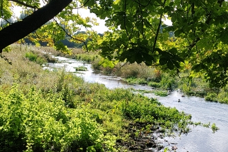 Watercress and Winterbournes - Abbotts Ann 