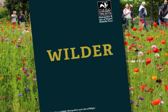 Wilder Hampshire & Isle of Wight discussion paper, Autumn 2018