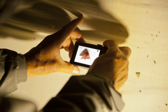 Moth Light Trap © Ross Hoddinott/2020VISION